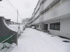 2010_0206_135522-CIMG0004