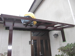 2010_1108_133009-CIMG0195