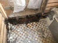 ��ե����ࡡ����