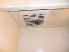 2010_0520_173917-CIMG0047