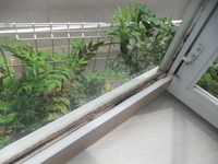 2013_0716_114814-DSCF6565