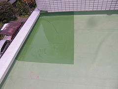 2010_0607_120937-CIMG0013