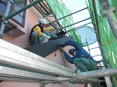 2010_1104_142303-CIMG0010