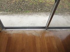 2011_0307_140534-DSCF4642