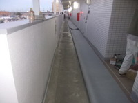 ��ե����ࡡ����