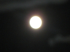 2009_1003_180305-CIMG8270