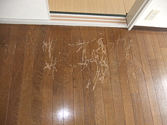 2011_0507_095450-DSCF6885