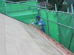 2010_1104_143506-CIMG0019