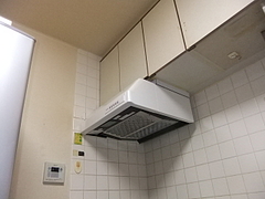 2012_1229_123917-DSCF2476