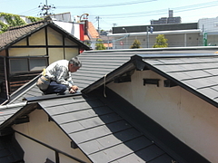 2010_0603_112829-CIMG0003