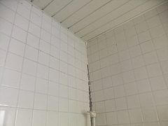 2012_0525_133935-DSCF8325