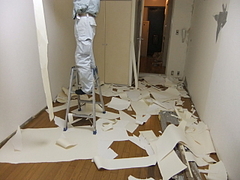 2011_0113_140010-DSCF2130