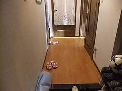 2011_1102_150101-DSCF2236