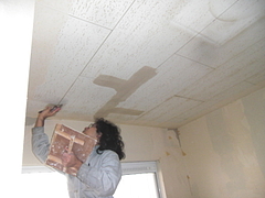 2010_1111_102617-CIMG0018