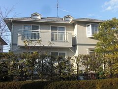2010_1201_144446-CIMG0006