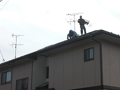 2010_1113_110613-CIMG0001