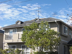 2010_1029_120858-CIMG0062