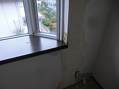 2009_1007_145425-CIMG0024