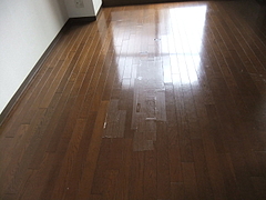 2012_0404_145734-DSCF6887