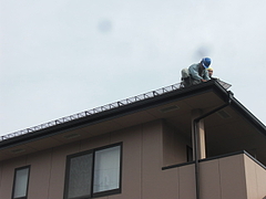 2010_1113_113753-CIMG0015