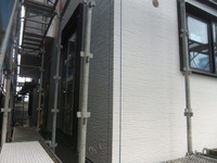 ���ɹ���������