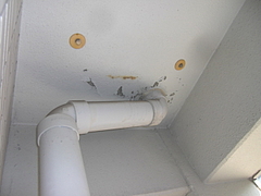 2010_0824_163956-CIMG0005