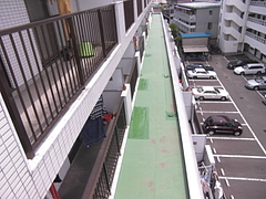 2010_0607_120959-CIMG0016