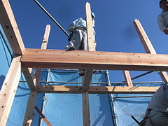 2009_1009_142743-CIMG0036