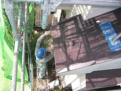2010_1018_100938-CIMG0006