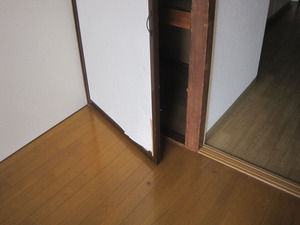 IMG_6767