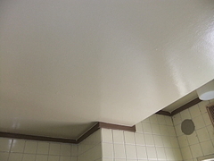 2011_0219_120644-DSCF3846