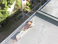 2009_1022_094036-CIMG0039