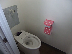 2012_0807_115341-DSCF9822