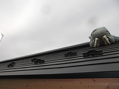 2009_1024_132125-CIMG0012