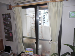 2010_1106_102233-CIMG0063