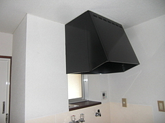 2010_1125_140936-CIMG0023