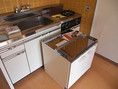 2010_0208_115219-CIMG0001