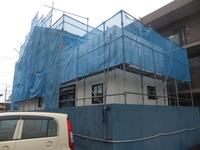 ���ɹ���������