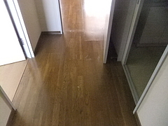 2013_0223_110451-DSCF4055