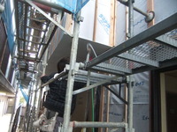 ���ɹ���������