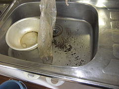 2009_1201_115947-CIMG0023