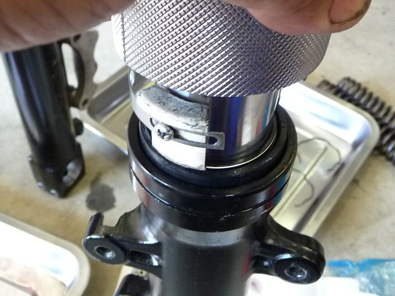 t09.jpg