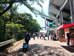 2024_SUZUKA8H_19