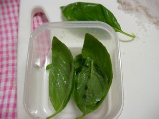 basil