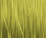 504-chartreuse