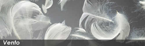 header_vento