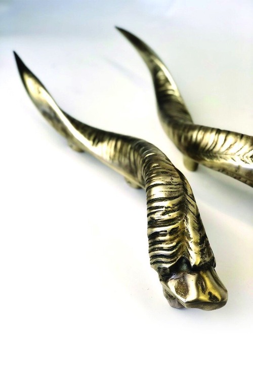 Horn_2