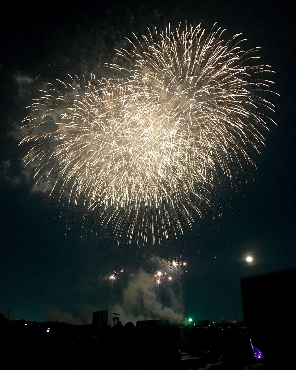 東京競馬場花火大会に行ってきました ずんだもちスペキチの一口馬主ブログ