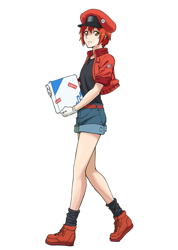 赤血球と白血球 はたらく細胞キャラクリ リグちゃんのpso2 History 赤血球と白血球 はたらく細胞キャラクリ リグちゃんのpso2 History
