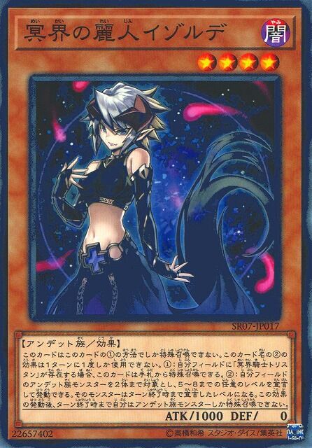 遊戯王萌えカード大全 闇属性編 遊戯王 じっくりコトコト煮込んだ豆腐